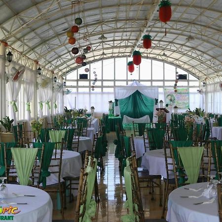 Island Tropic Hotel And Restaurant Alaminos Extérieur photo
